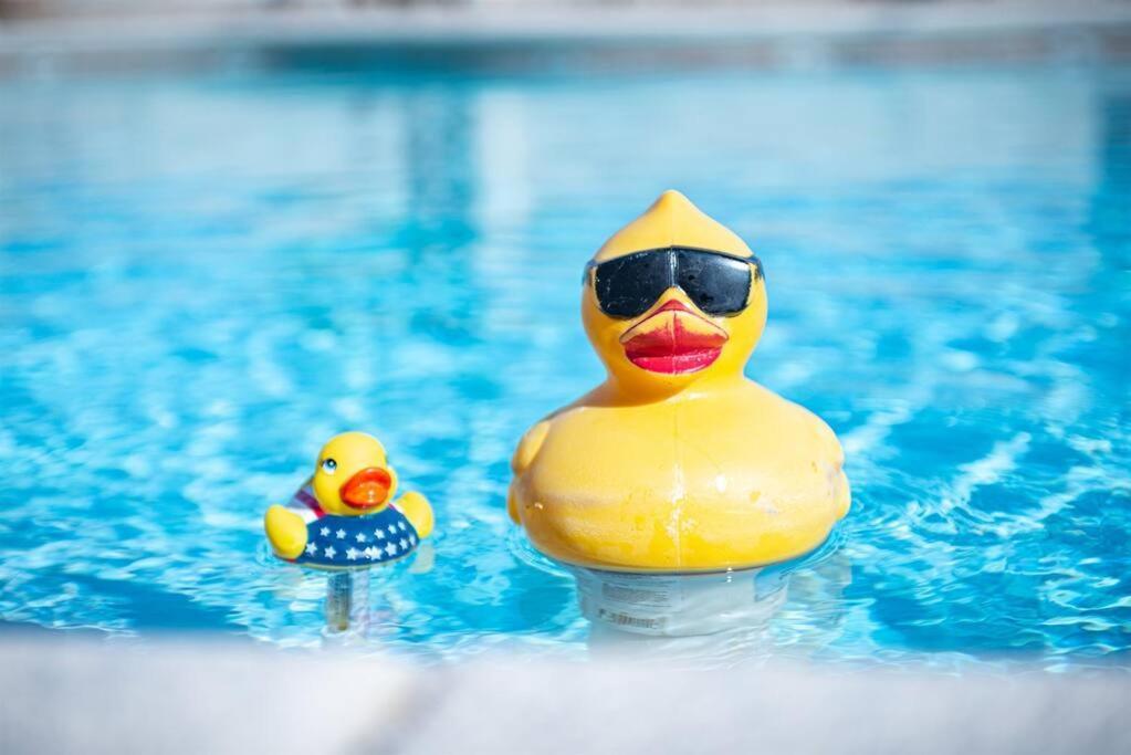 Arrowhead- New Upscale Pool Oasis Havasu Haven Game Lake Havasu City