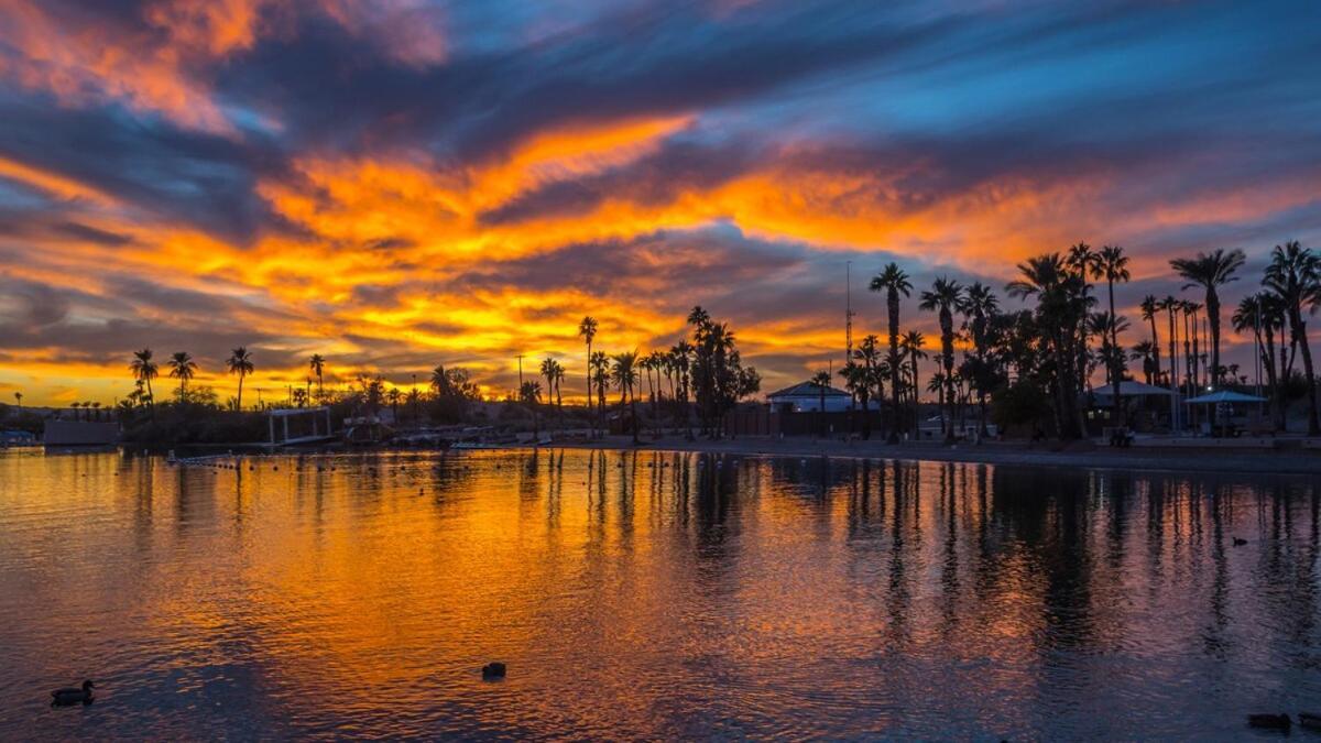 Avalon Havasu Pool Playground Sleeps 20 Holiday home *
