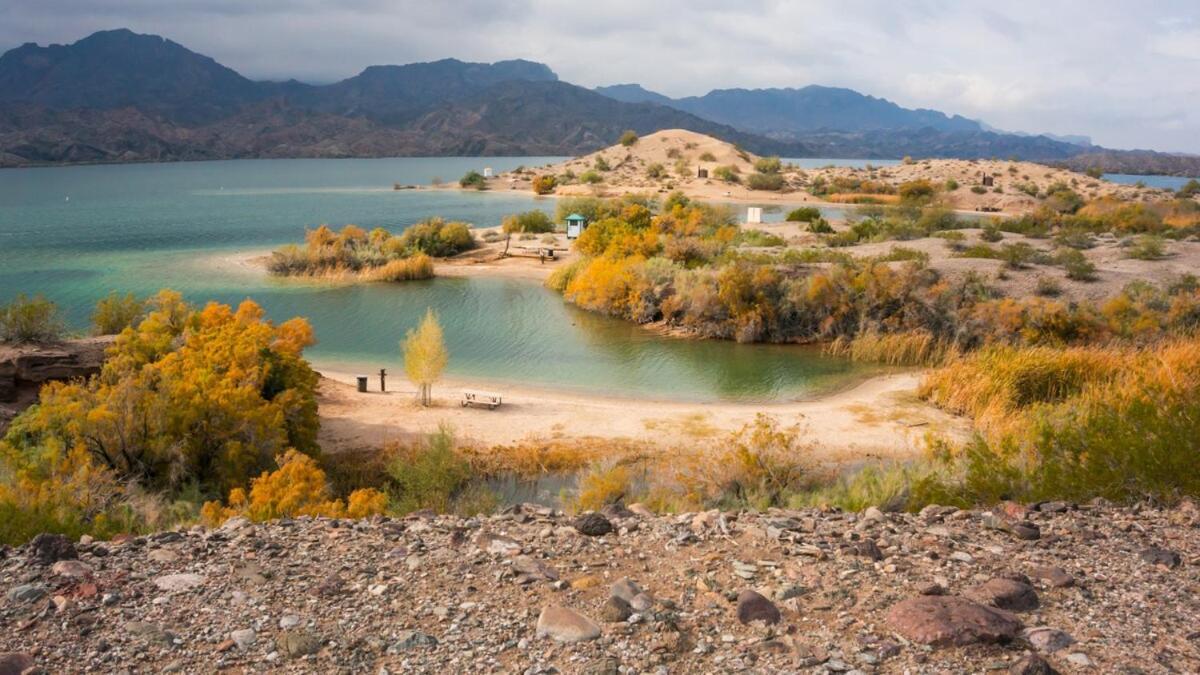 Avalon Havasu Pool Playground Sleeps 20 Lake Havasu City