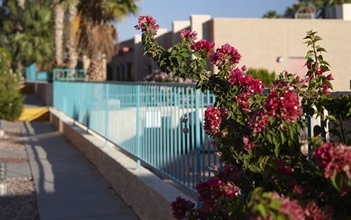 Hotel Getaways At Havasu Dunes 4*